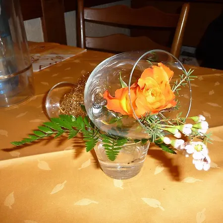 Wollmeiner *