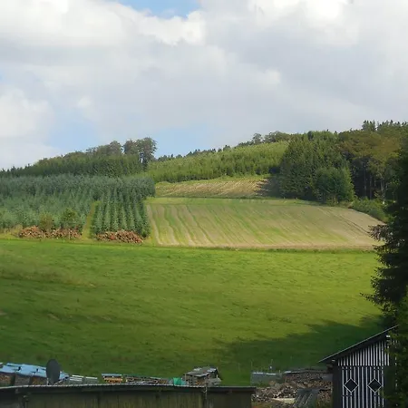 Wollmeiner