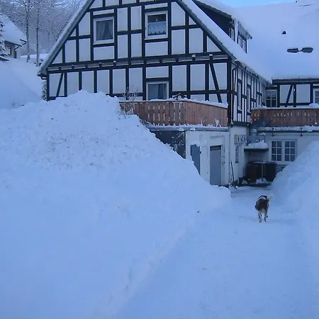 Wollmeiner سشمالنبرغ