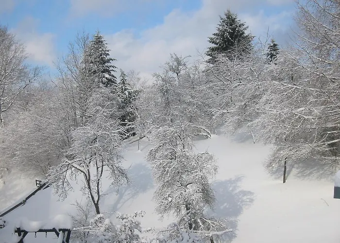 Wollmeiner Διαμέρισμα Schmallenberg