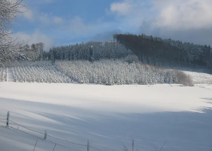 Wollmeiner * Schmallenberg