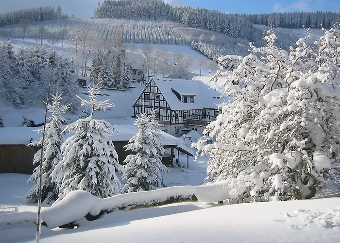 Wollmeiner Διαμέρισμα *