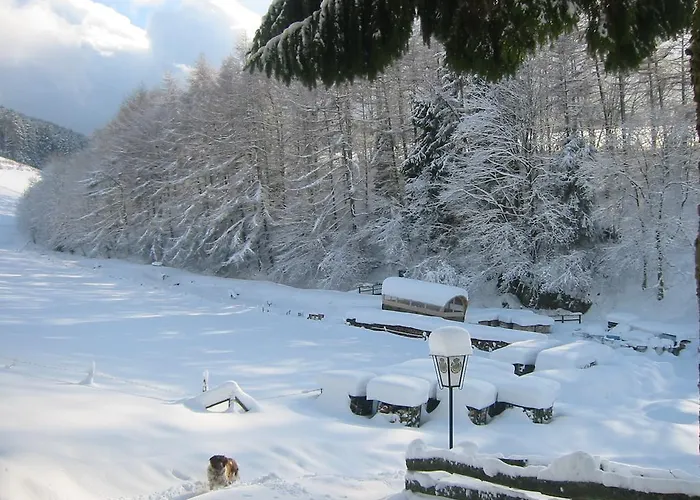 Διαμέρισμα Wollmeiner